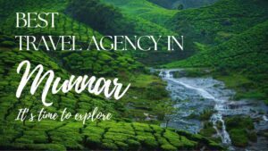 best travel agency in munnar
