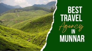 best travel agency in munnar