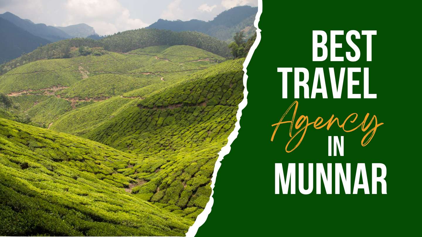 best travel agency in munnar