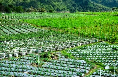 places to visit in kanthalloor