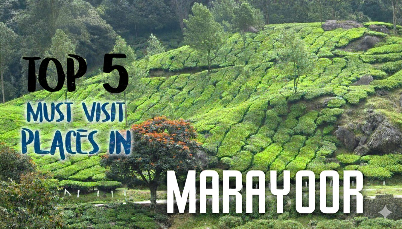 places to visit in marayoor