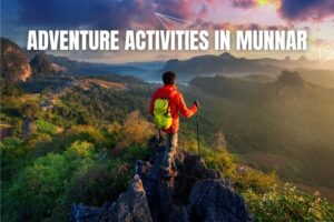 best travel agency in munnar