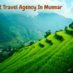Best Travel Agency In Munnar