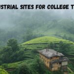 Best Travel Agency In Munnar