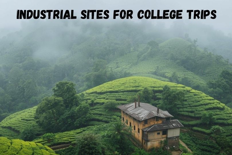 Best Travel Agency In Munnar