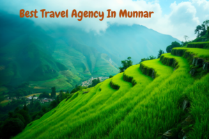 Best Travel Agency In Munnar