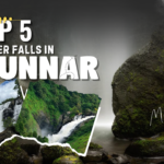 Top 5 waterfalls in Munnar for travelers