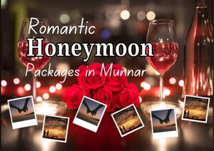 honeymoon packages in munnar