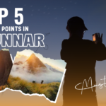 sunrise-viewpoints-in-munnar