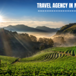 Travel Agency in Munnar