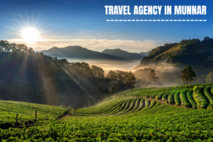 Travel Agency in Munnar