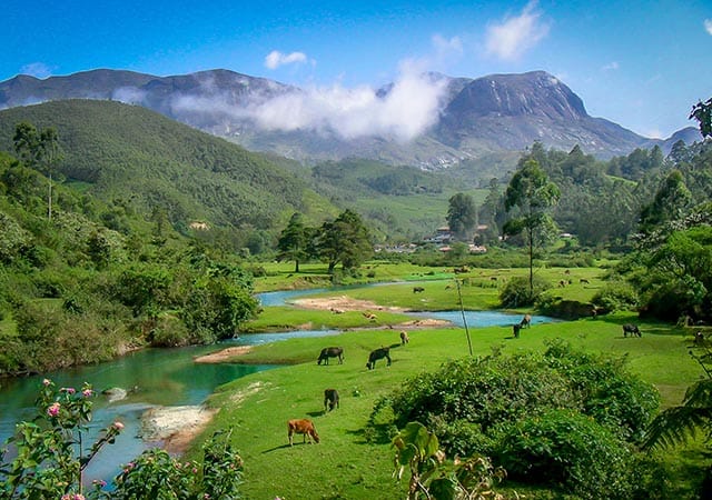 group trip to munnar