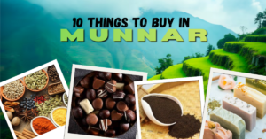 Things to buy in Munnar