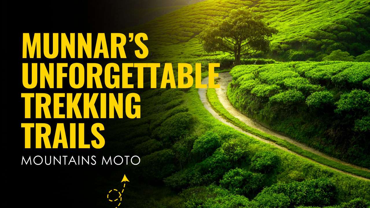 Trekking trails in munnar